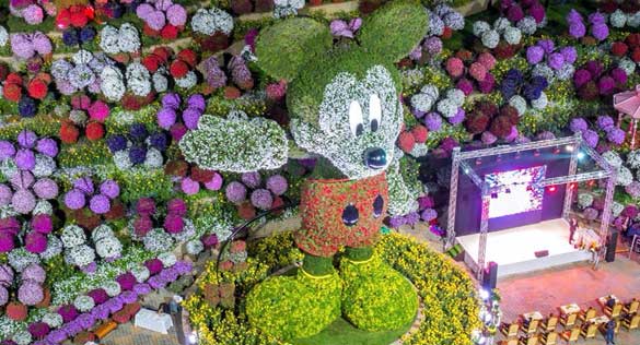 دبي ميراكل جاردن تدخل "غينيس" بأكبر مجسم من الزهور في العالم لـ"ميكي ماوس"