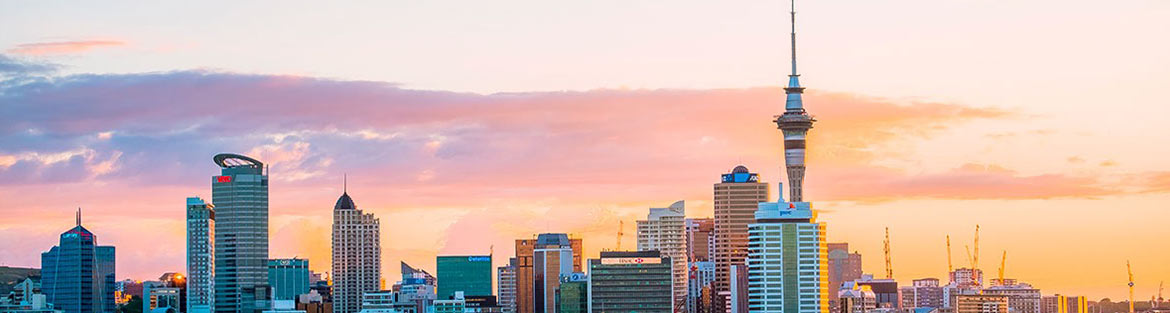 STUDY IN NEW ZEALAND 